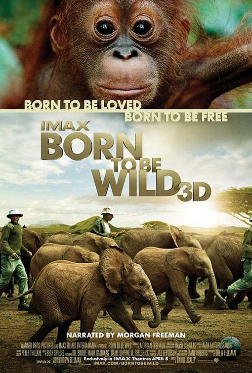 Nacido para ser Libre - Born to Be Wild (3333)