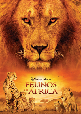 Felinos De Africa - African Cats - Kingdom Of Courage