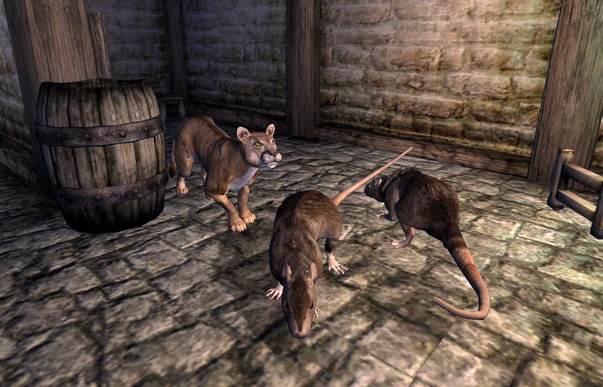 What is a rat problem?