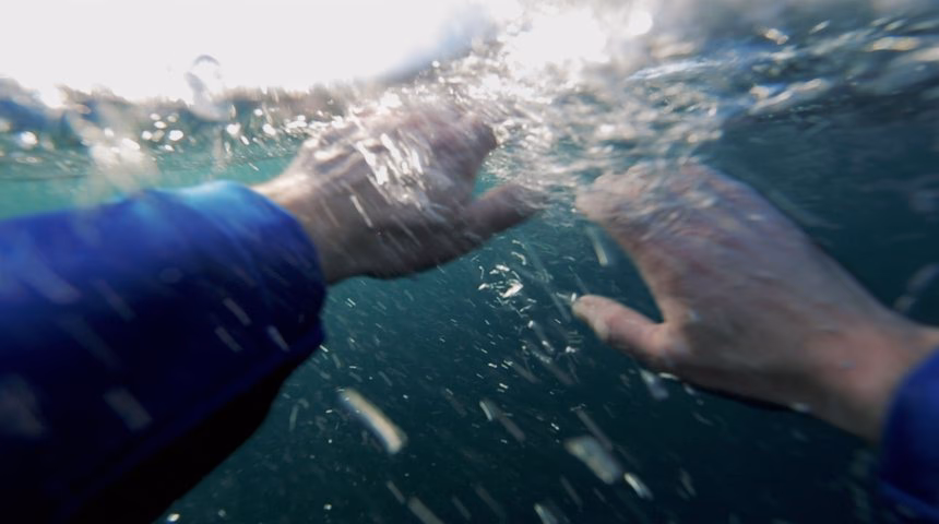 How do you experience sortie en Mer?