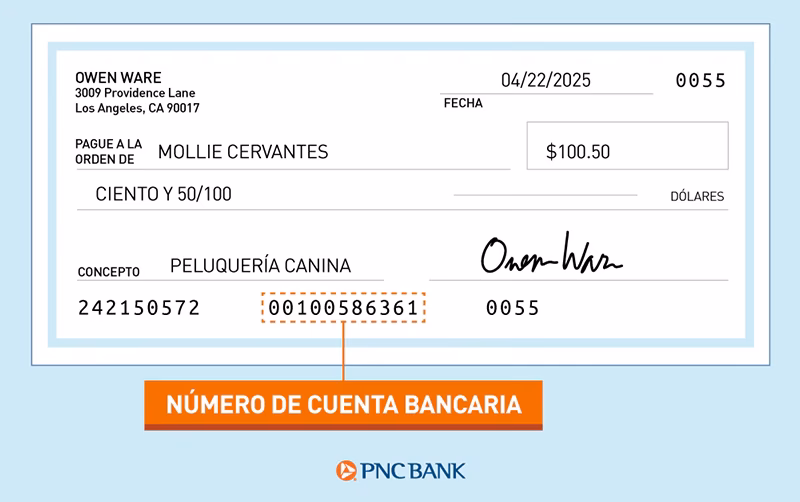 ¿Qué servicios ofrece Account?