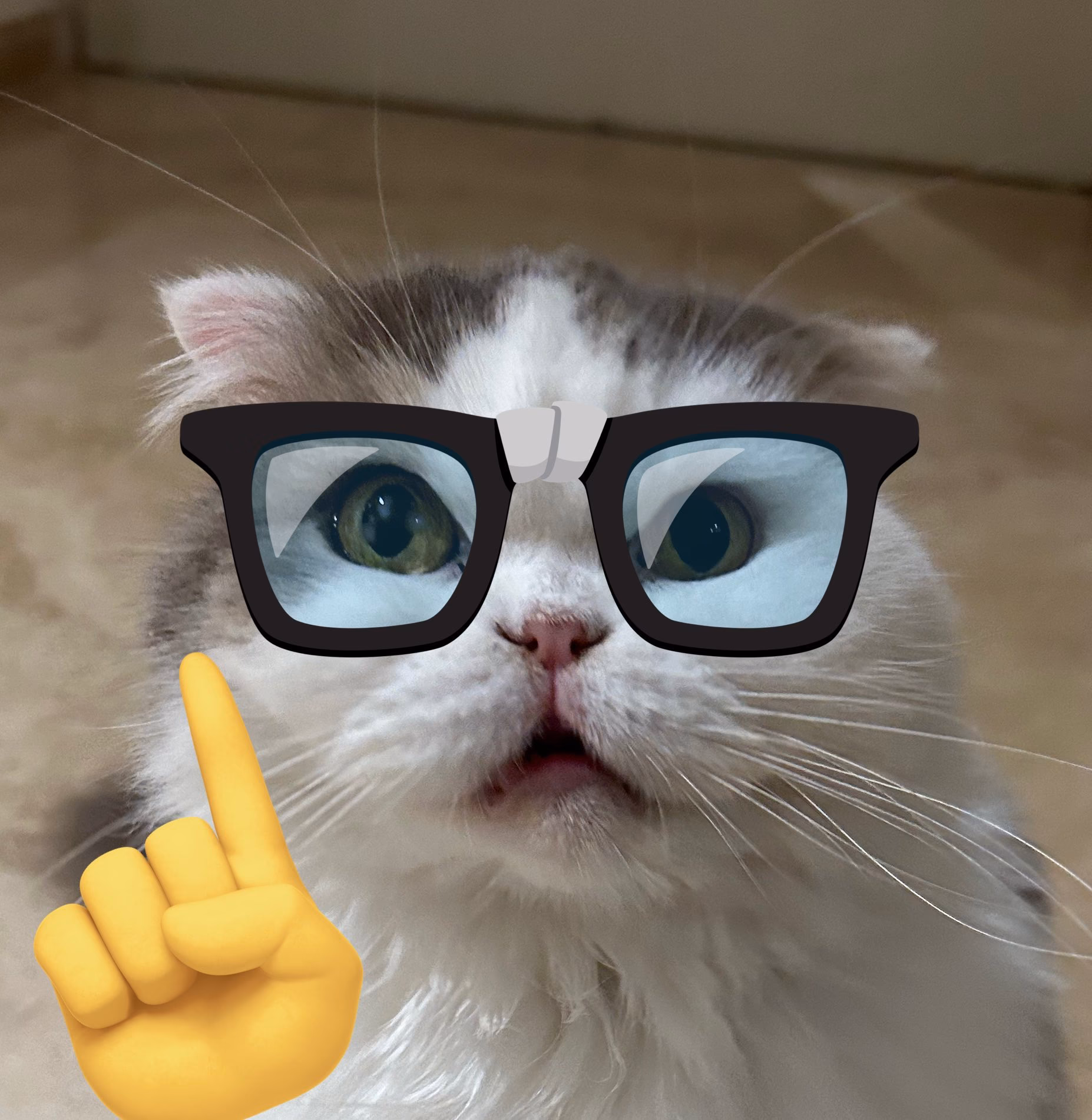 Who is aksually & why is he so popular?