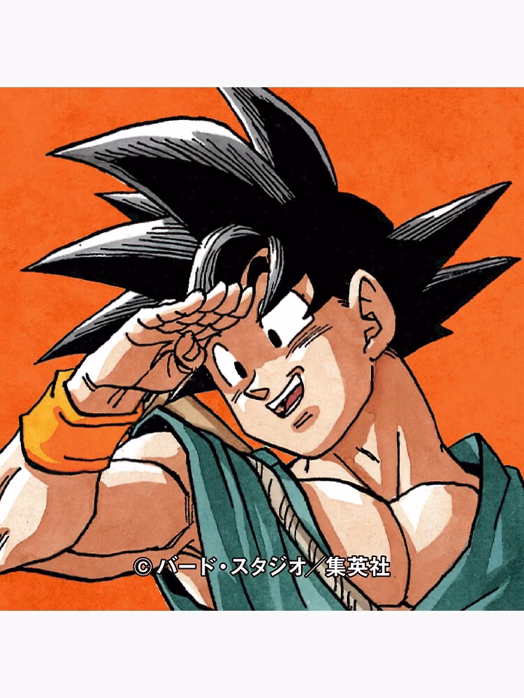¿Cuál es el atuendo de Goku?