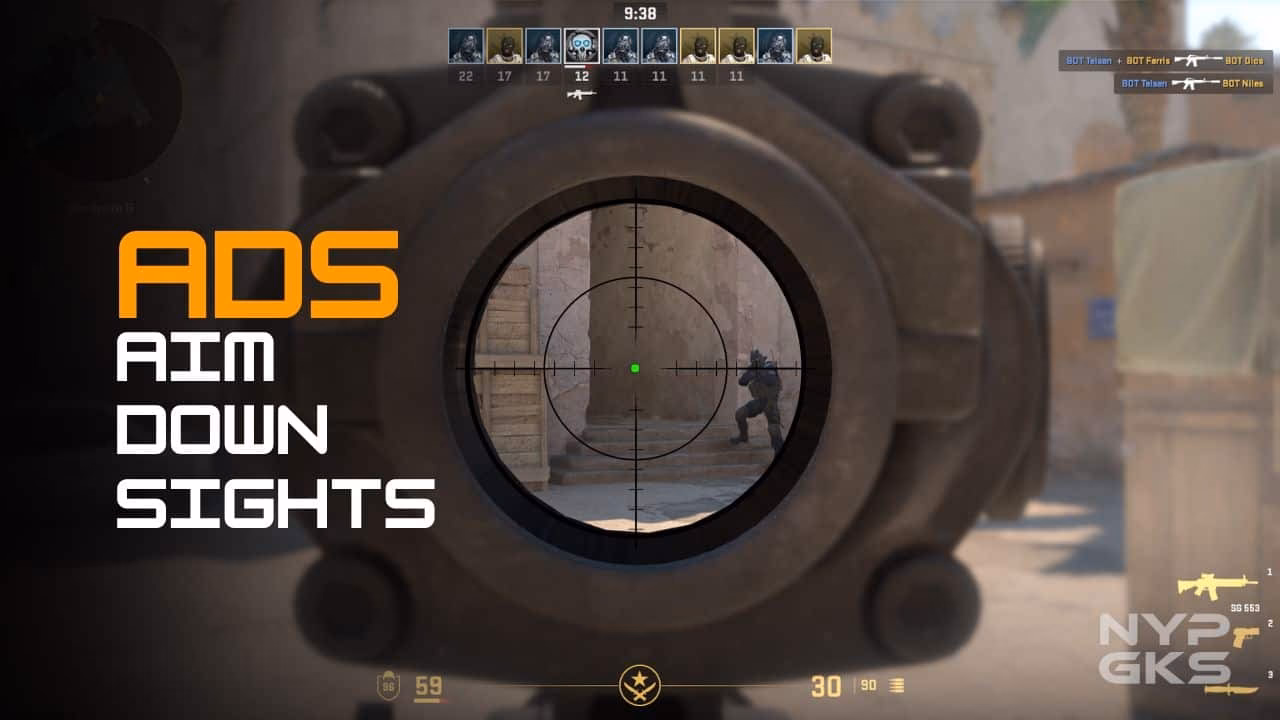 What does ads stand for?