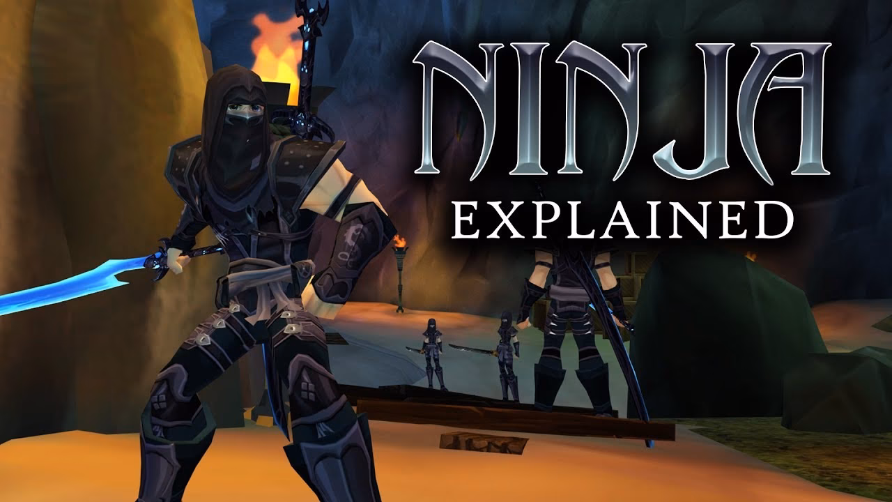 What is ninja adventure?