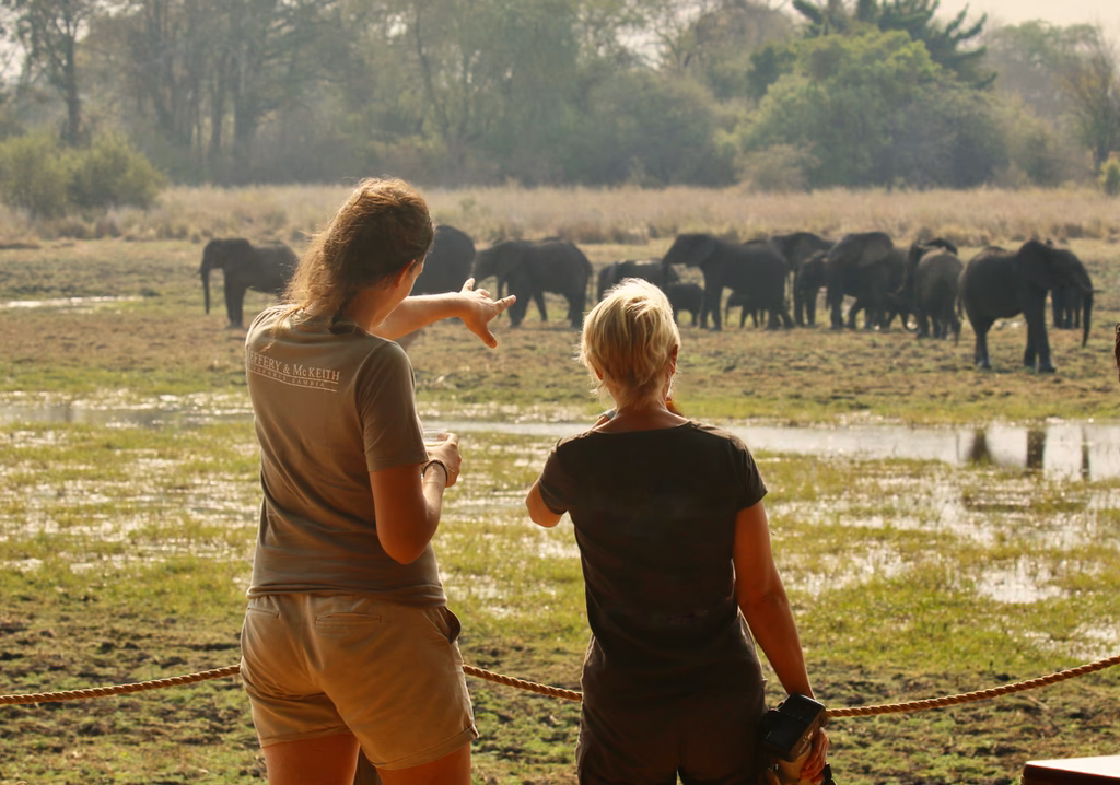 Who is my Africa safaris?