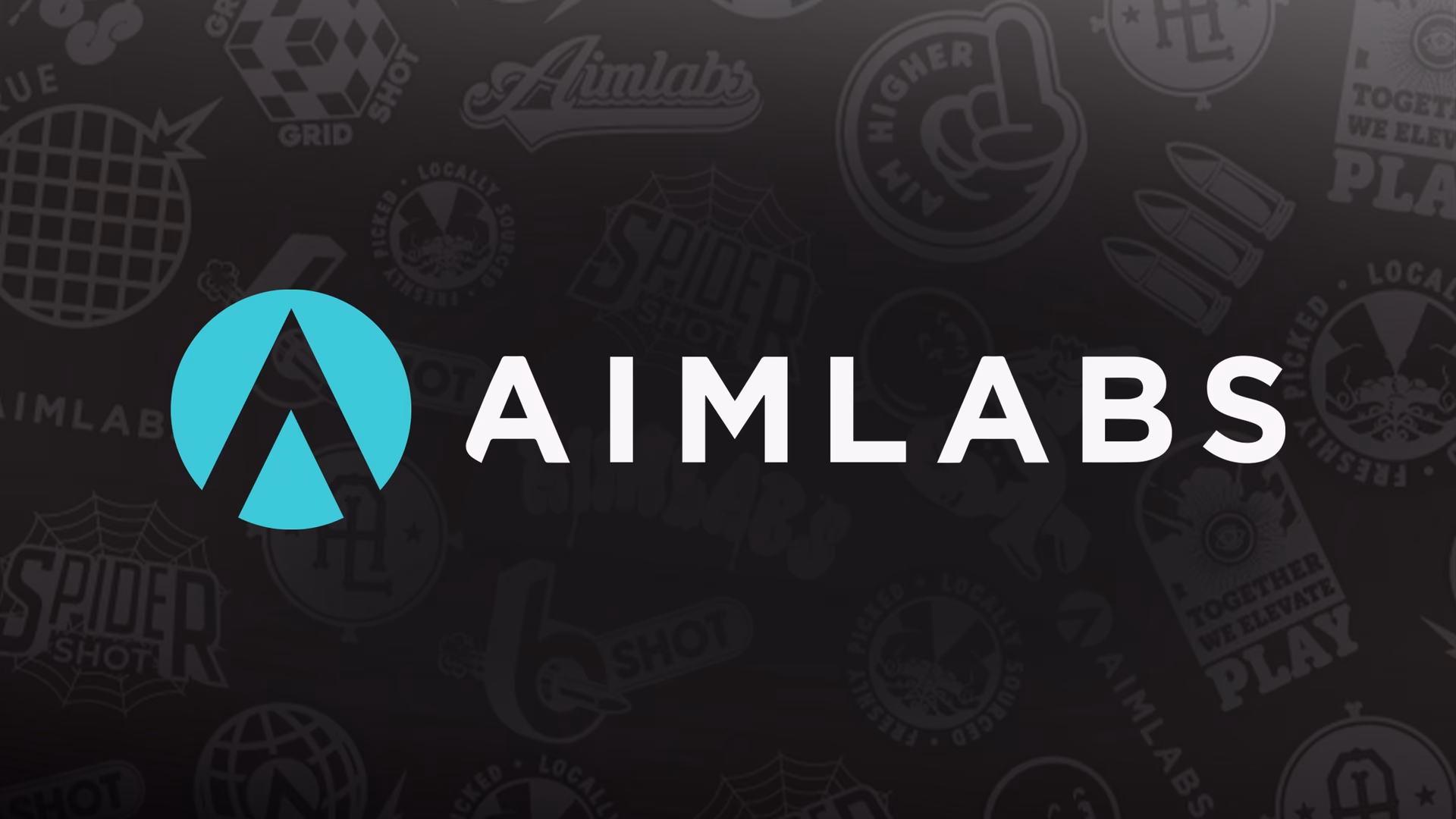 Who is aimlabs?