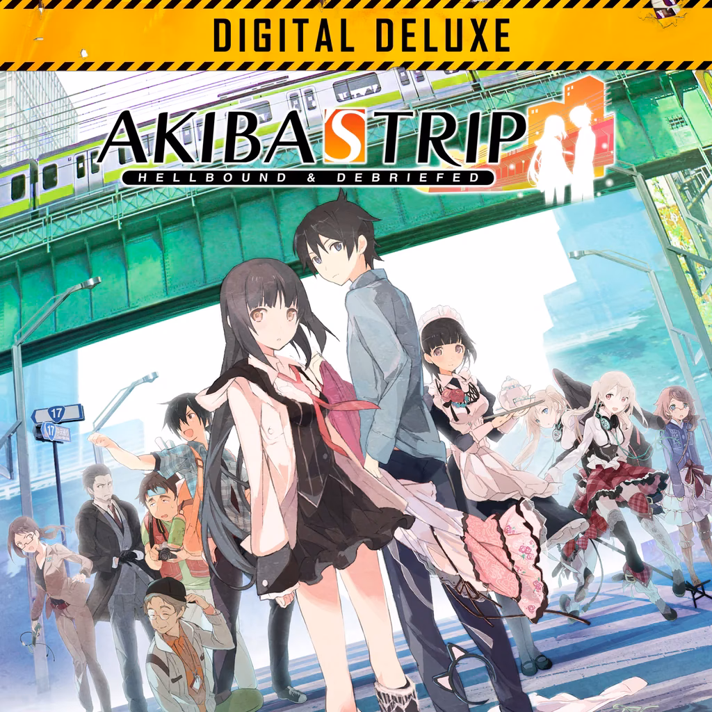 Is Akihabara a paradise?