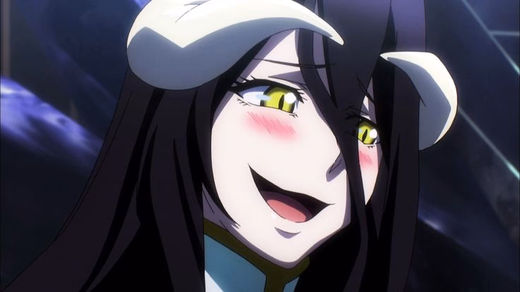 What is high albedo?