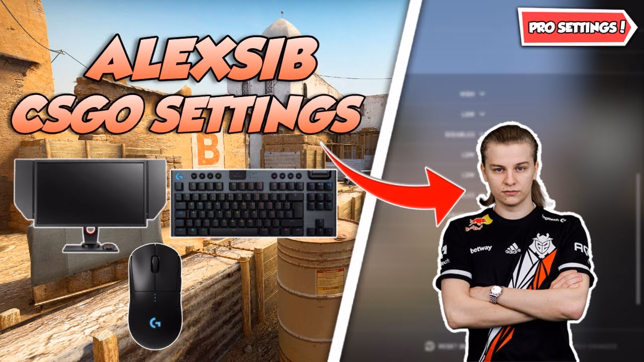 Who is Natus Vincere Aleksib?
