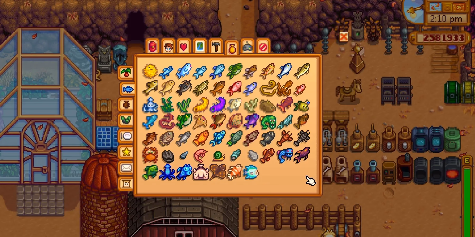 How do you catch fish in Stardew Valley?