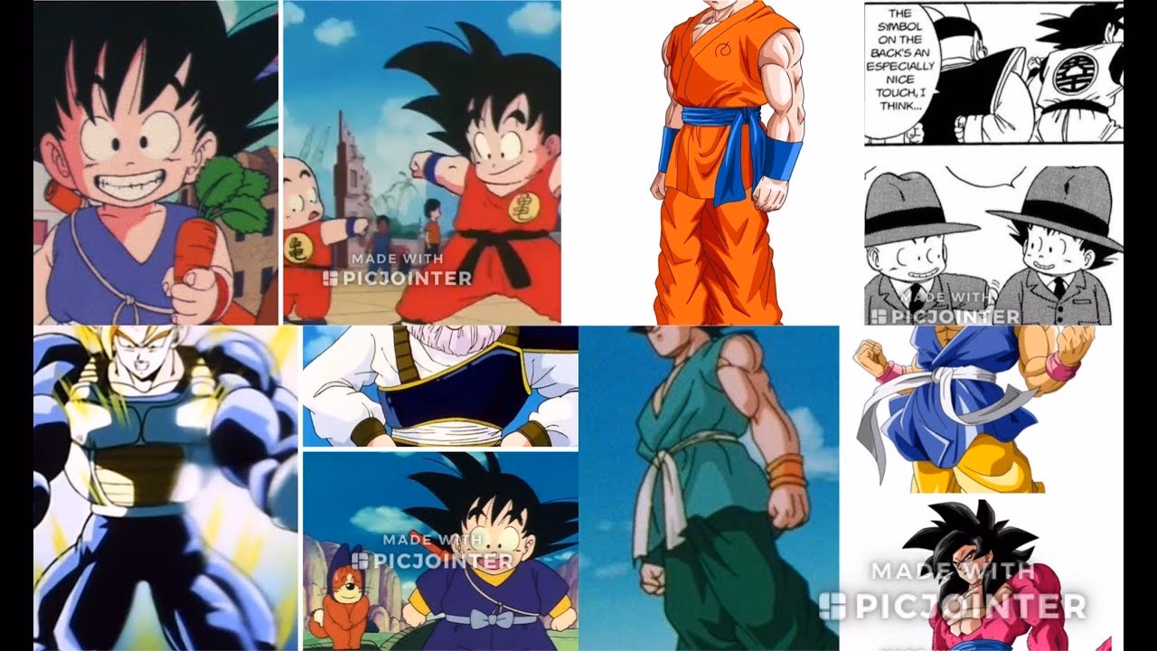 What does Goku wear in Dragon Ball Z?