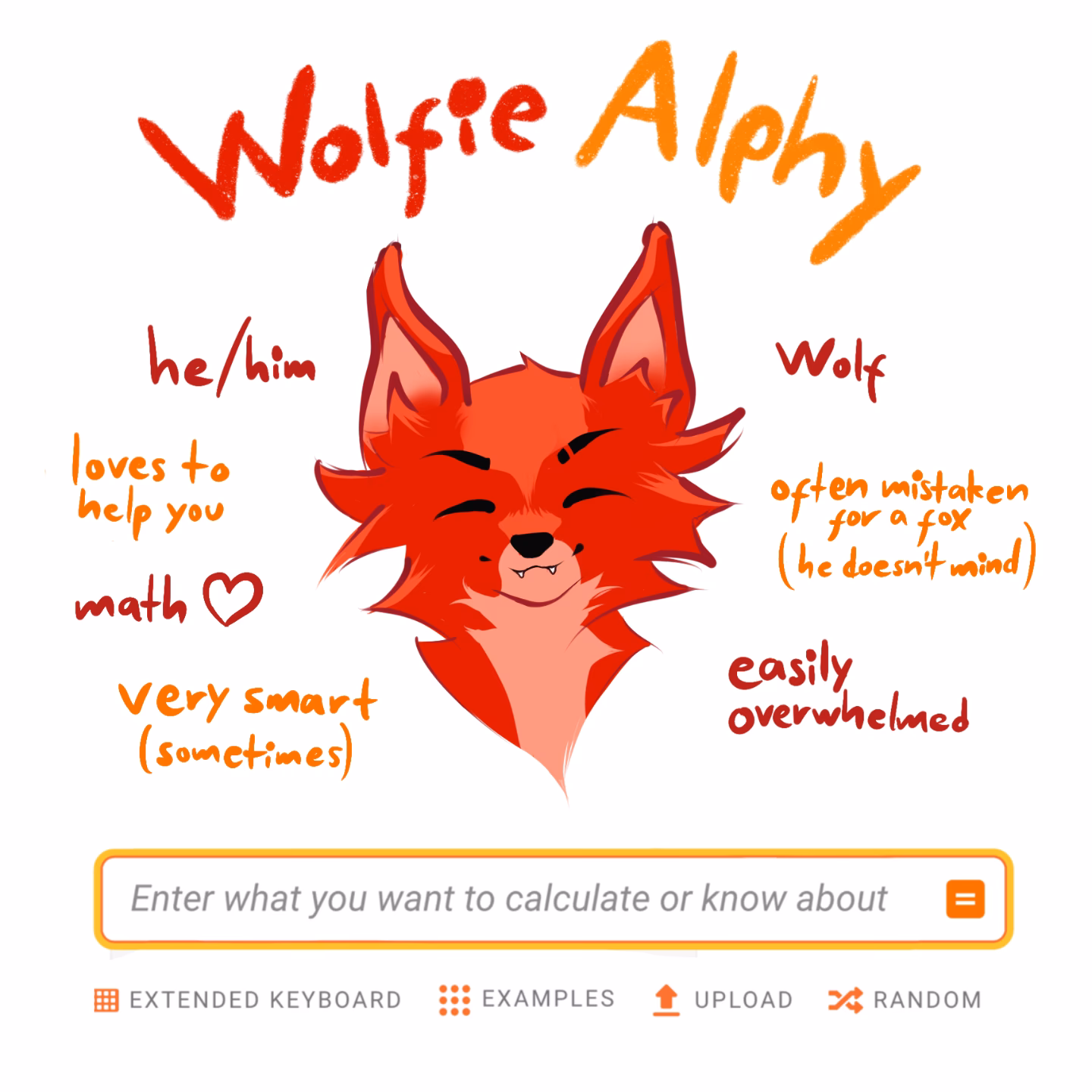 What is Wolfram|Alpha notebook edition?