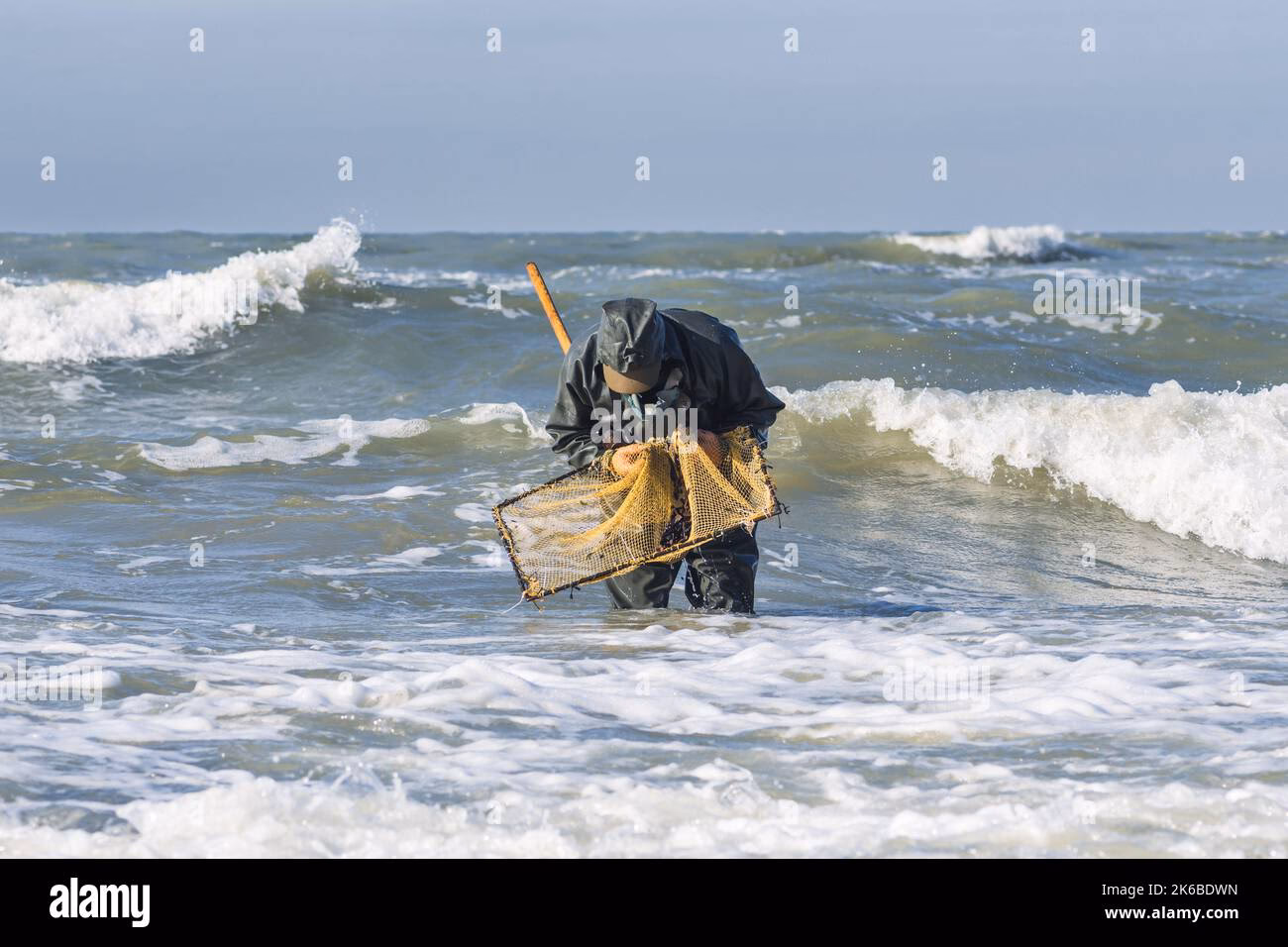 Where can I find amberfish in Kvalsund?