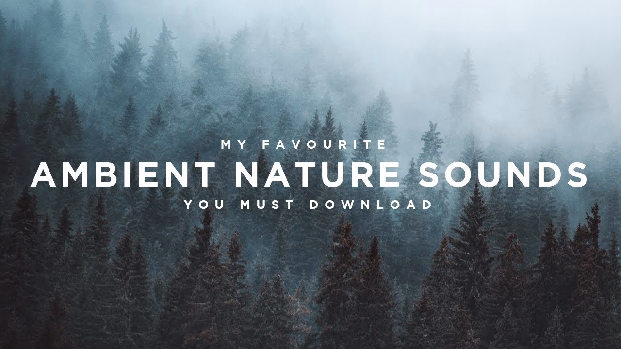 What is ambient sound?