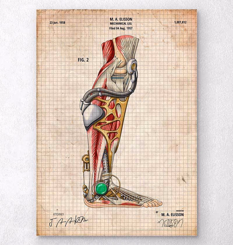 What is the blueprint for the human body?