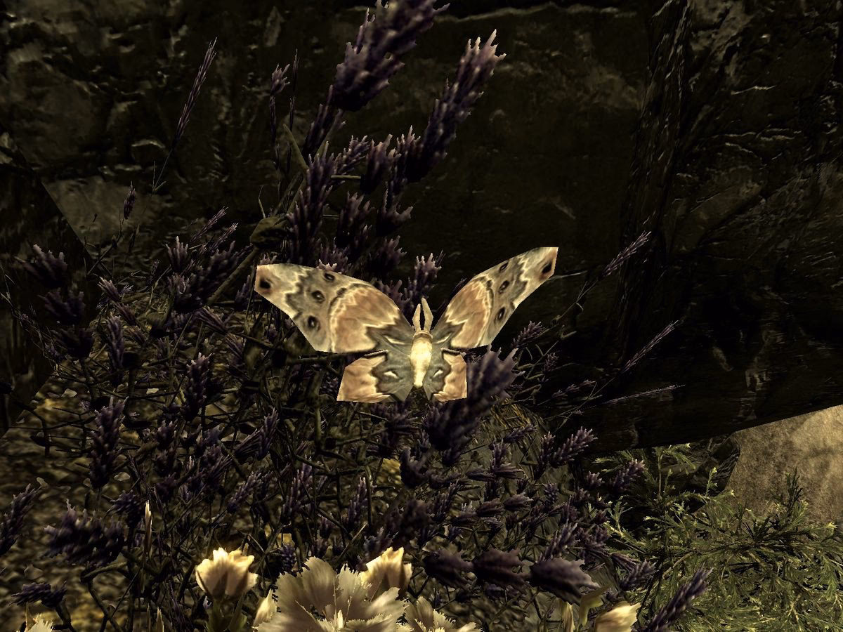 Where is the ancestor Glade in Skyrim?