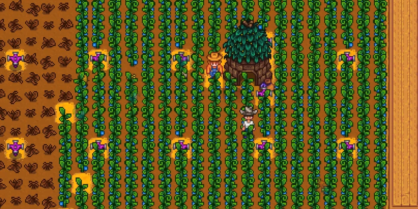 What is ancient seed Stardew Valley?