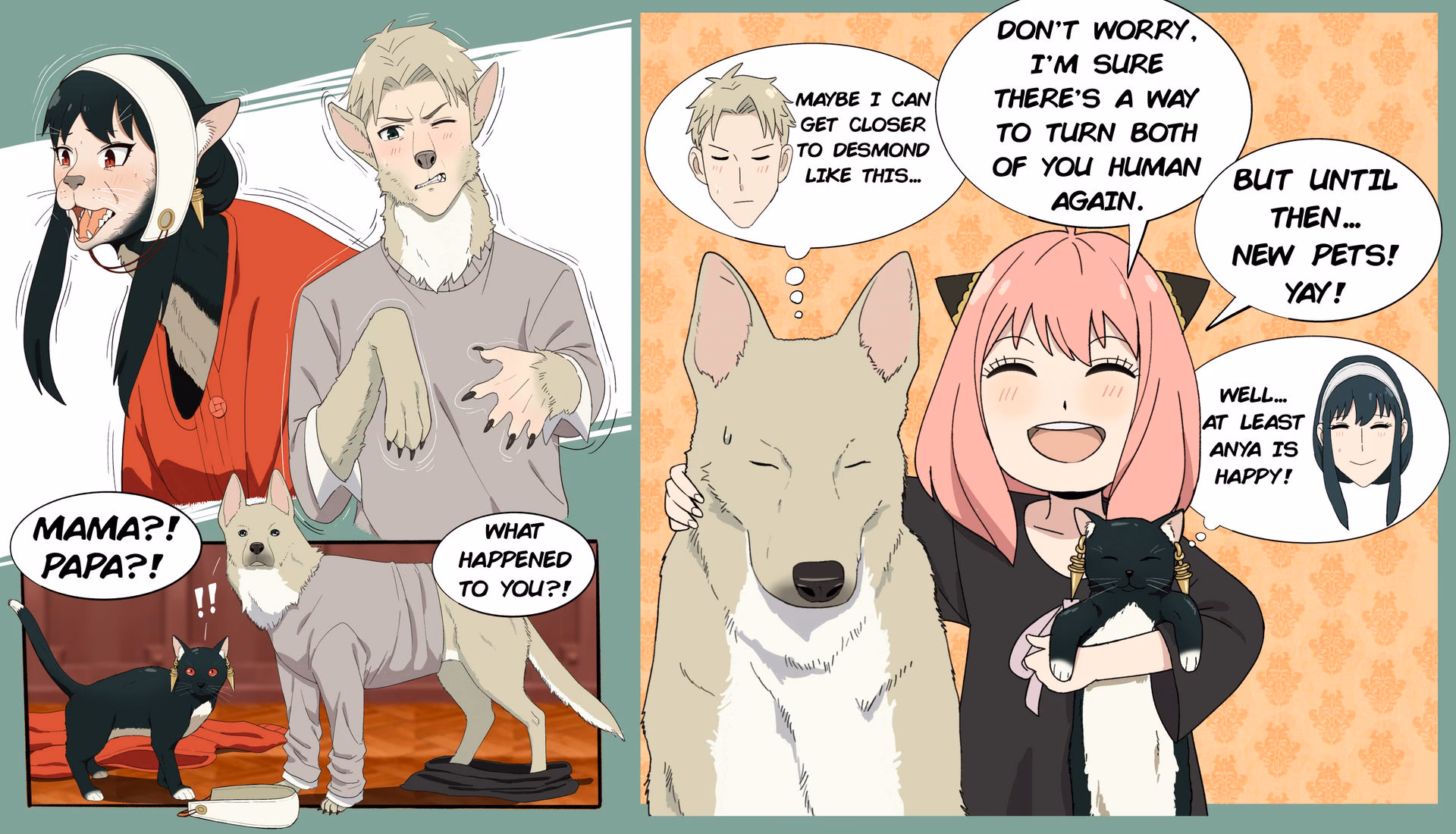 What is the animal TF community?