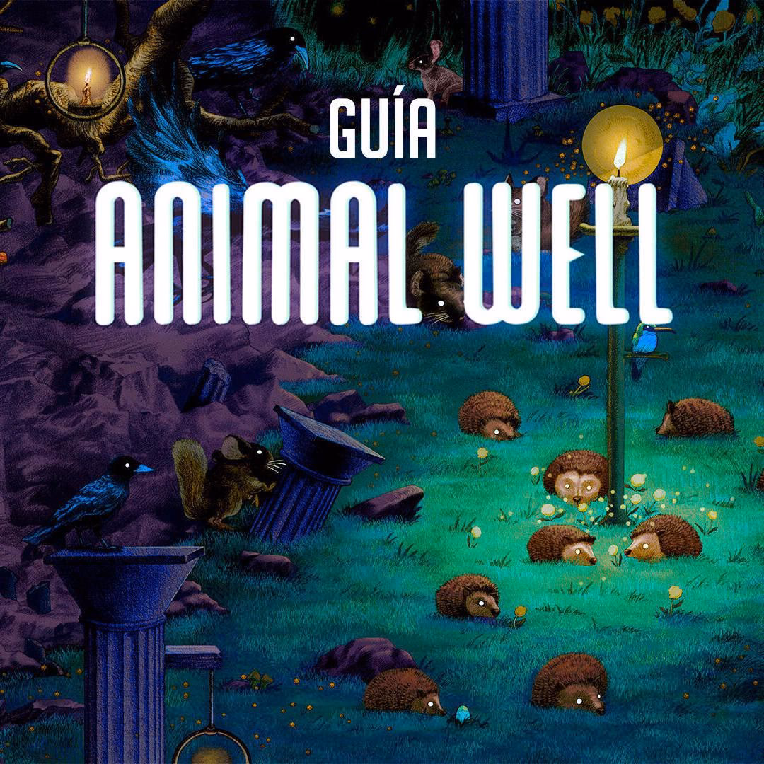 What is animal well?
