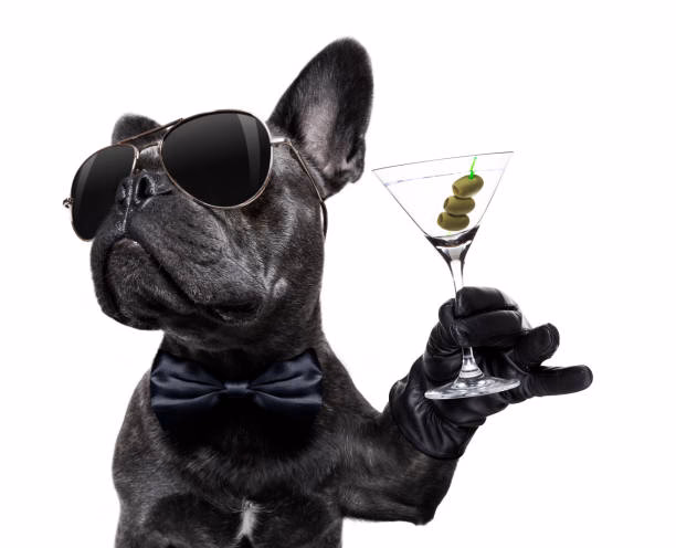 Who helps the Party Animals?