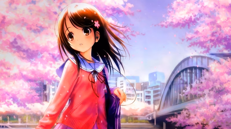 Where to download anime wallpaper?