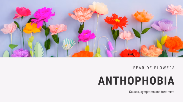 Is there a full version of anthophobia?