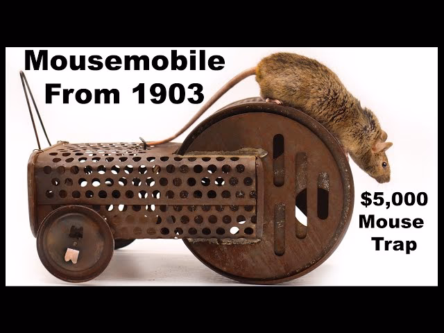 Where can I buy vintage mouse trap?