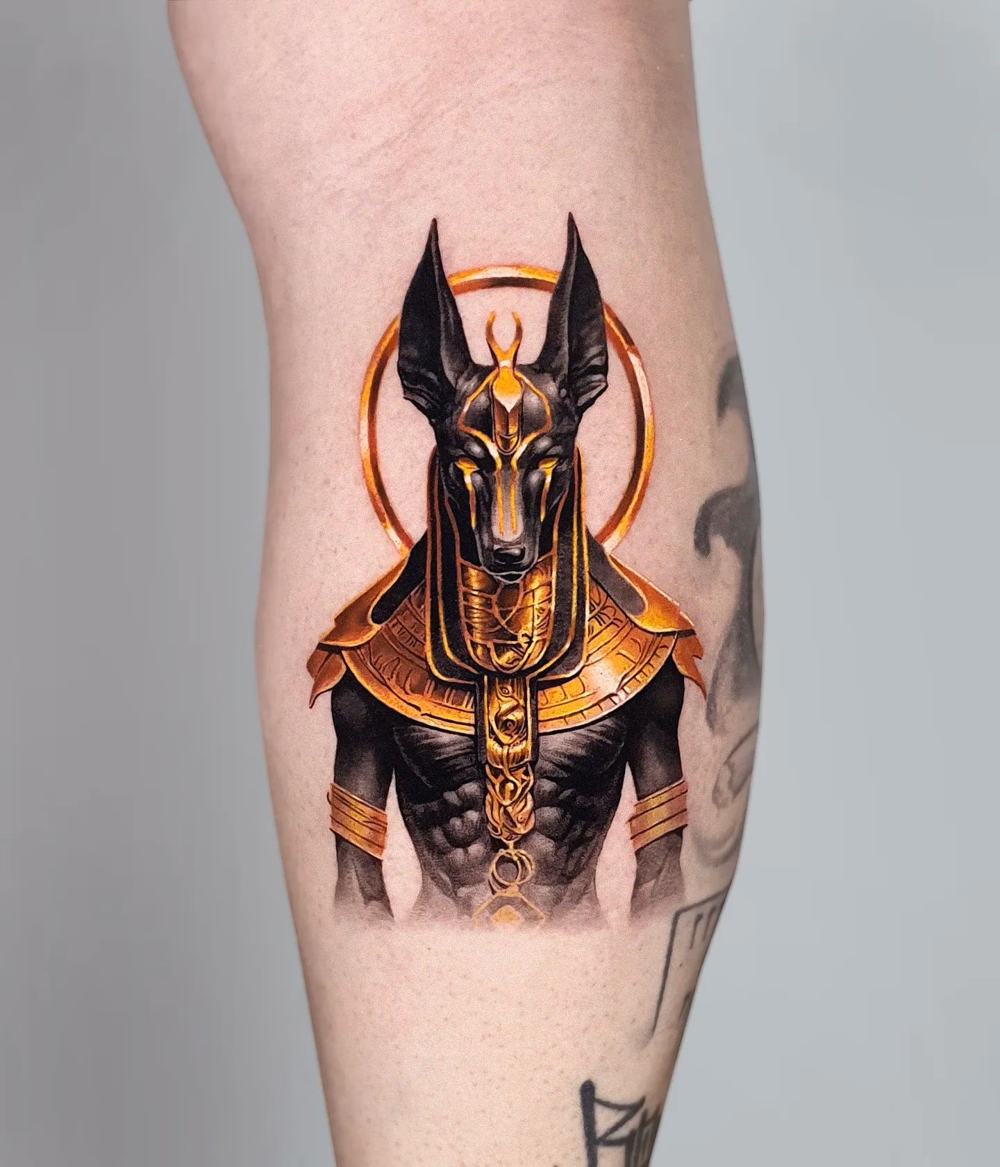¿Cuál es la historia del nacimiento de Anubis?