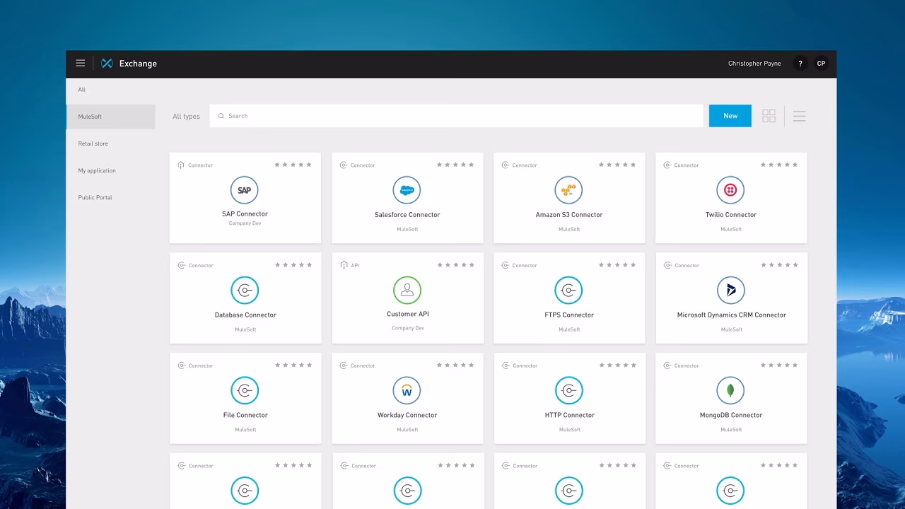 What is Anypoint Platform?