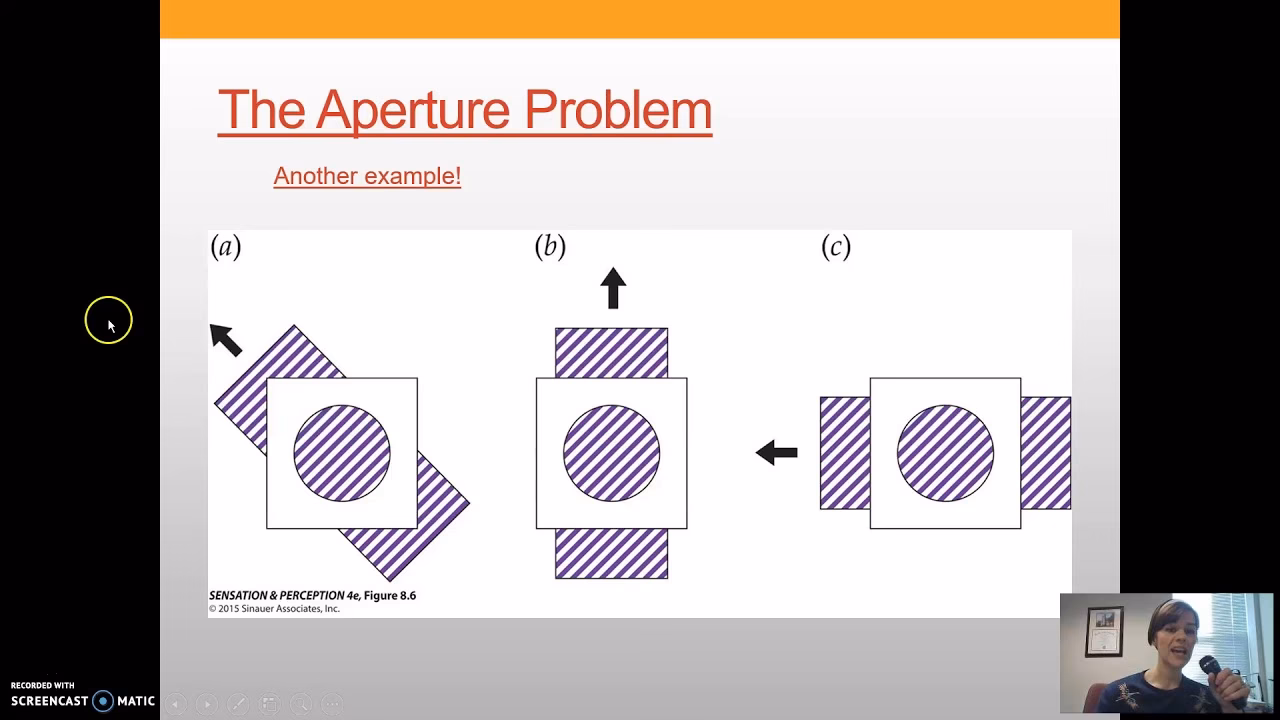 Who first described the aperture problem in motion?