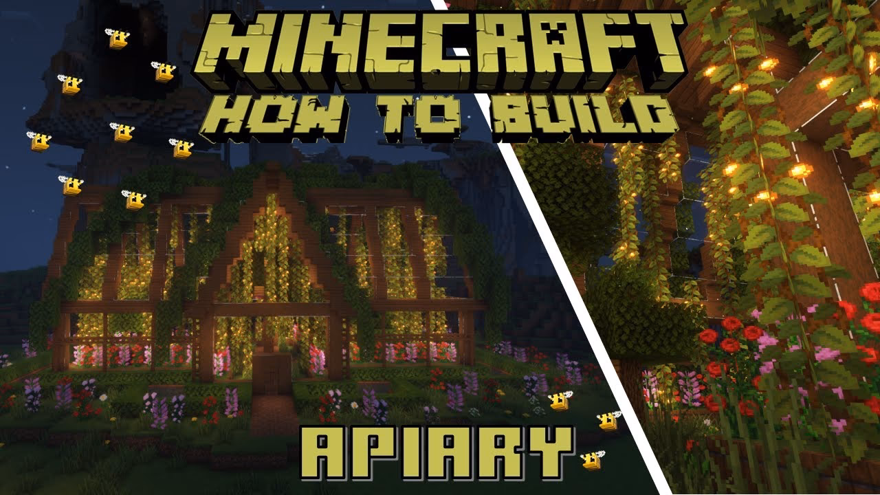 How to set up a bee apiary?