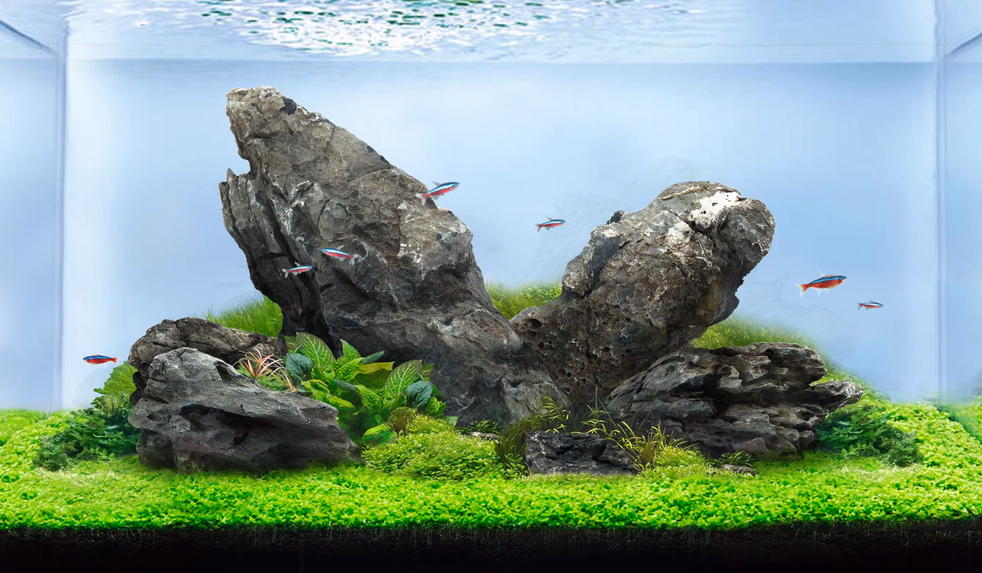 What are natural aquarium rocks & stones?