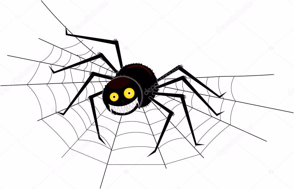 ¿Por qué la araña teje su tela?