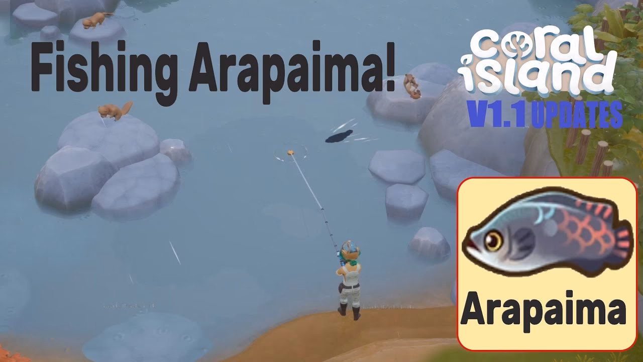 How to catch Arapaima fish?