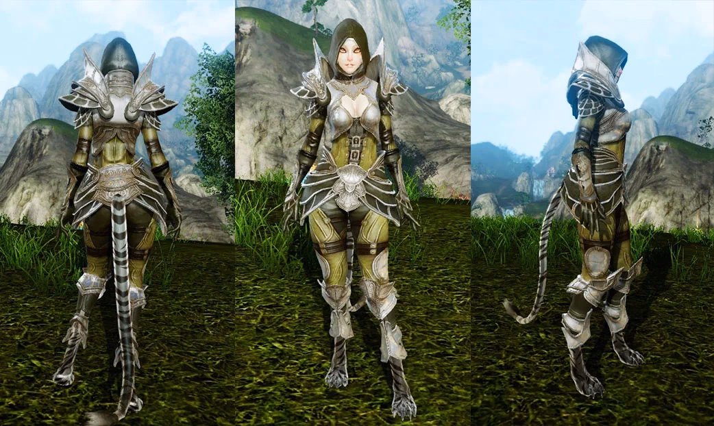 What is ArcheAge MMORPG?