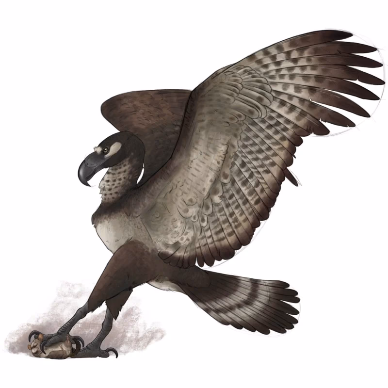 ¿Cuál es el tamaño del Argentavis?