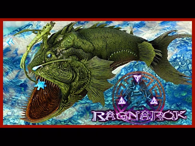 Are squids rare in Ragnarok?