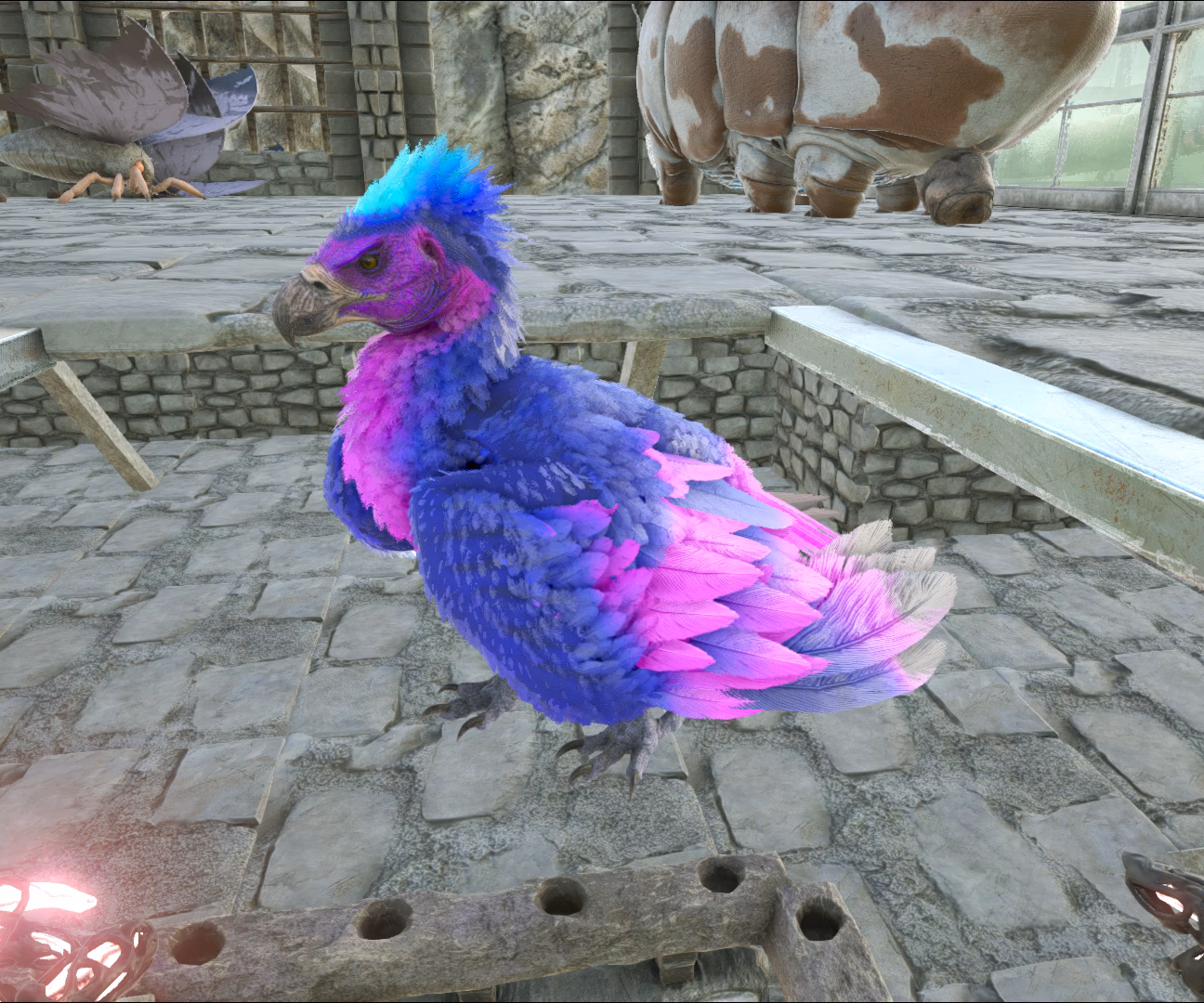 Are argentavises a must tame?