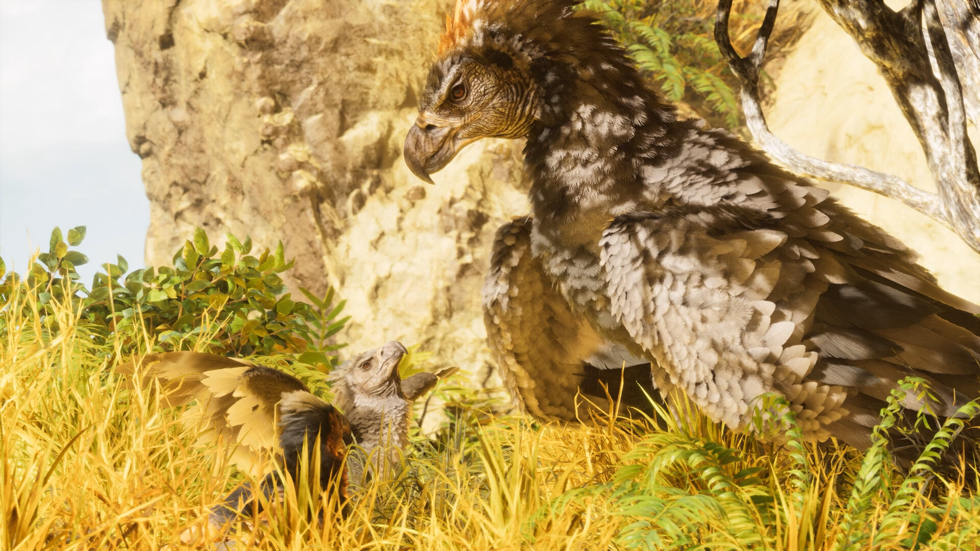 Why did Ark develop ASA?