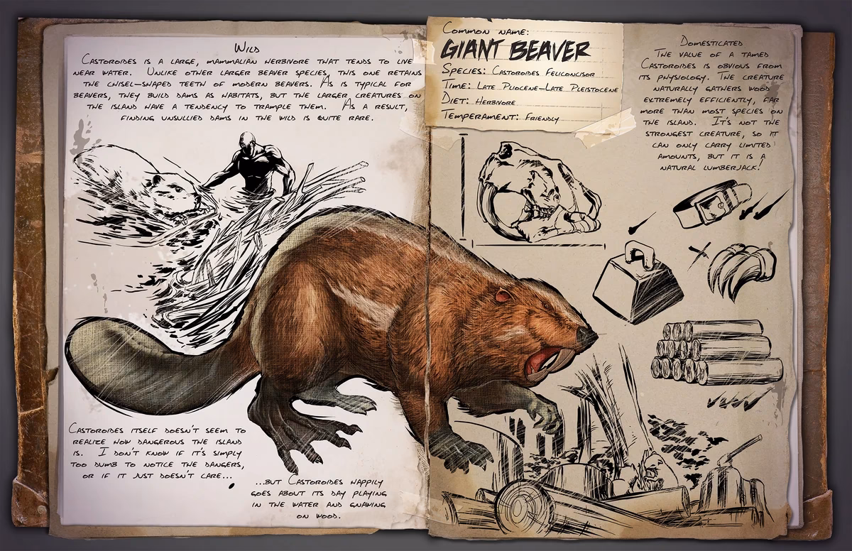 What do Castoroides eat?