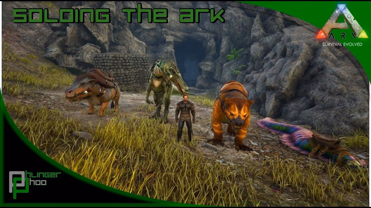 Where to farm chitin cave?