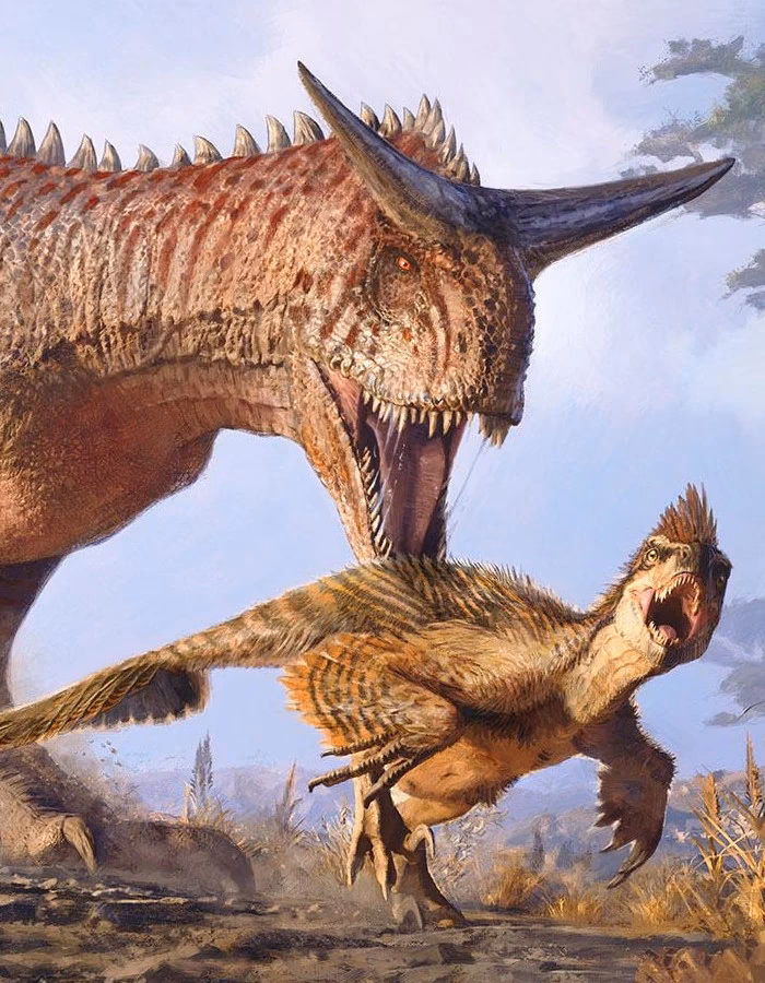 ¿Cómo elegir un servidor en Ark?