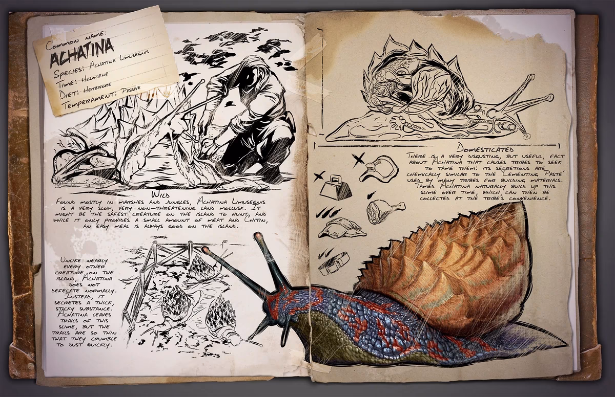 Where can I find explorer notes in Ark Survival Evolved?