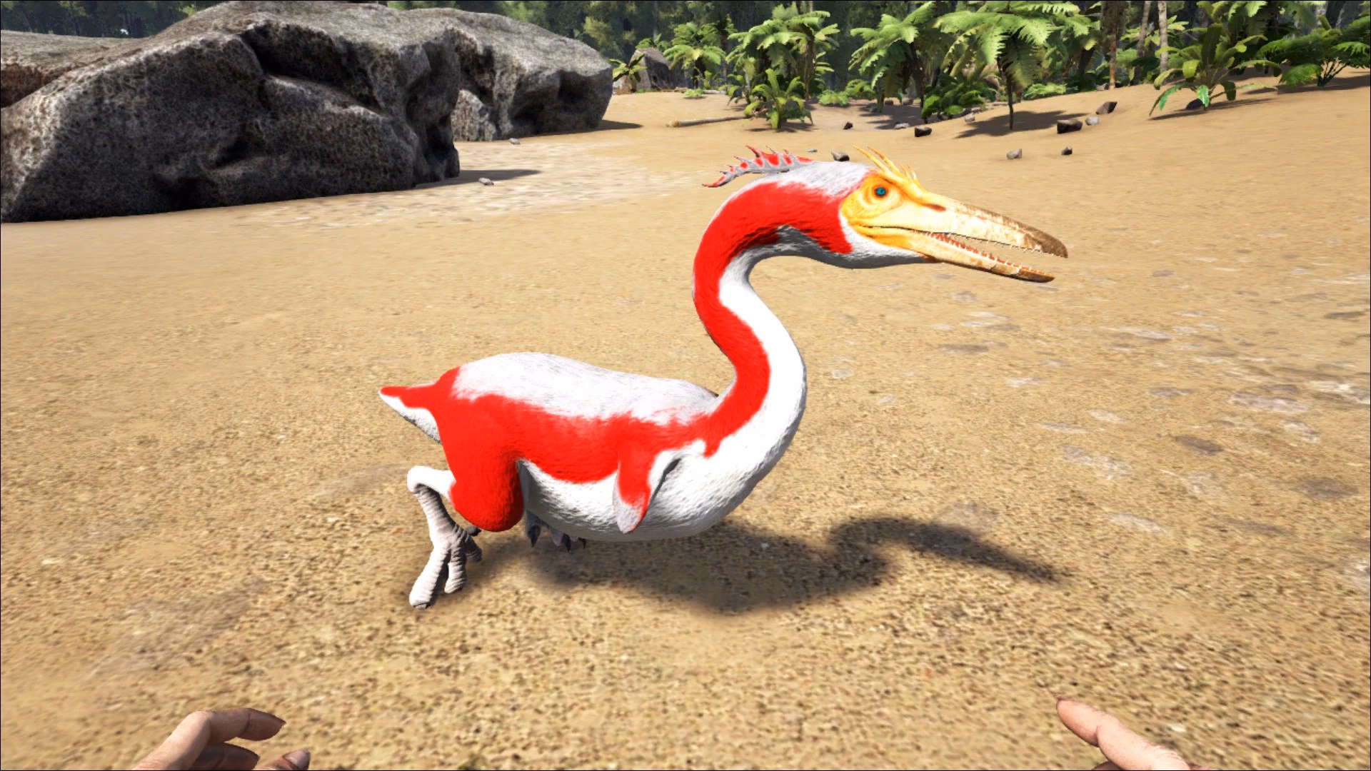 What is a Hesperornis in Ark Survival Evolved?