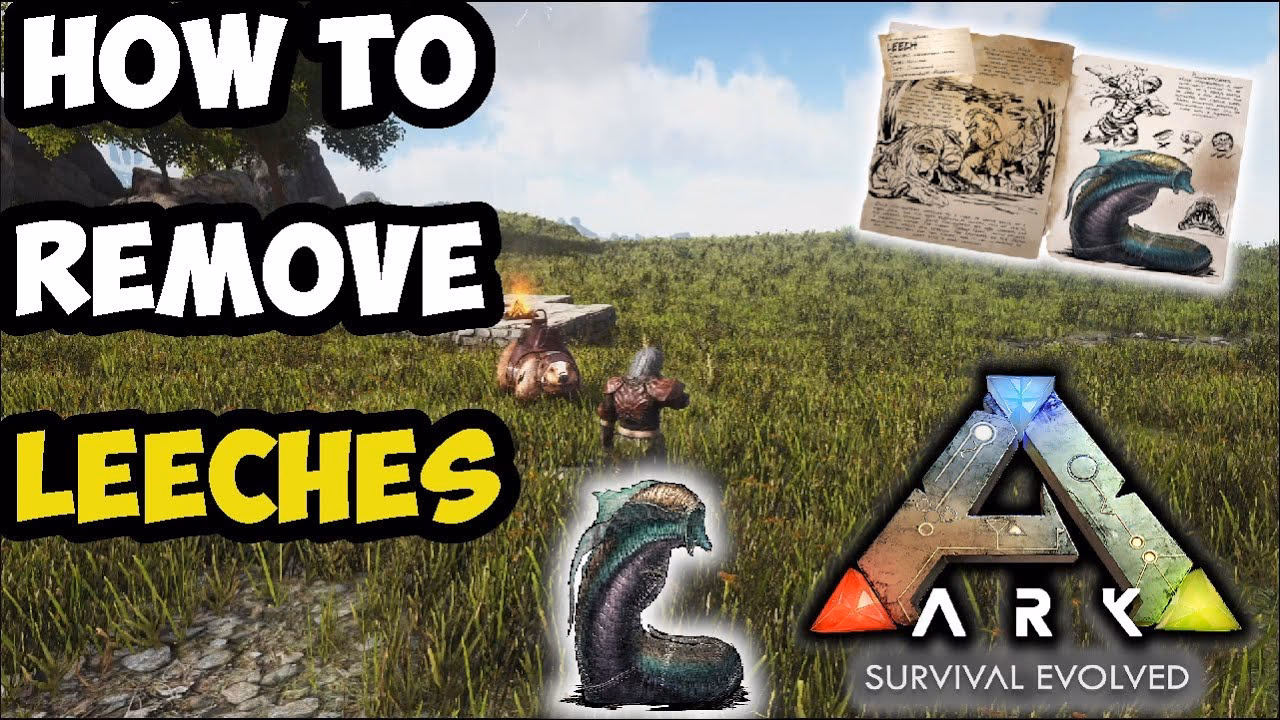 What are leeches in Ark Survival Evolved?