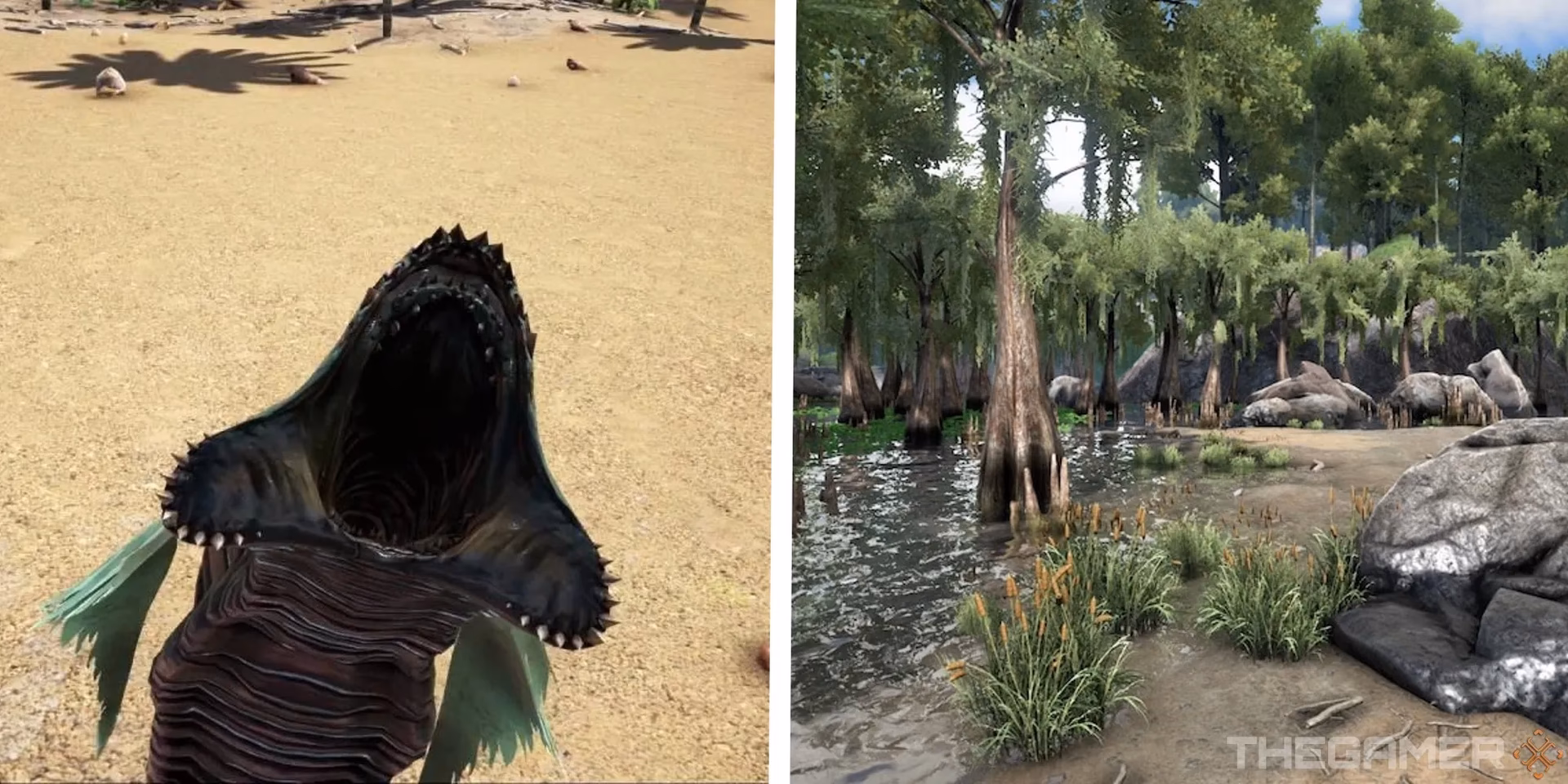 What is the Leech in Ark Survival Evolved?