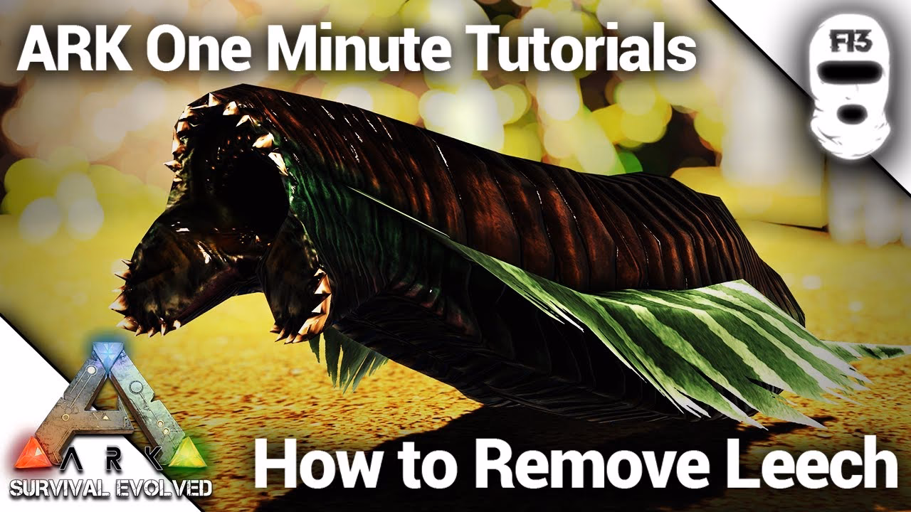 How do you get a leech on a raptor?