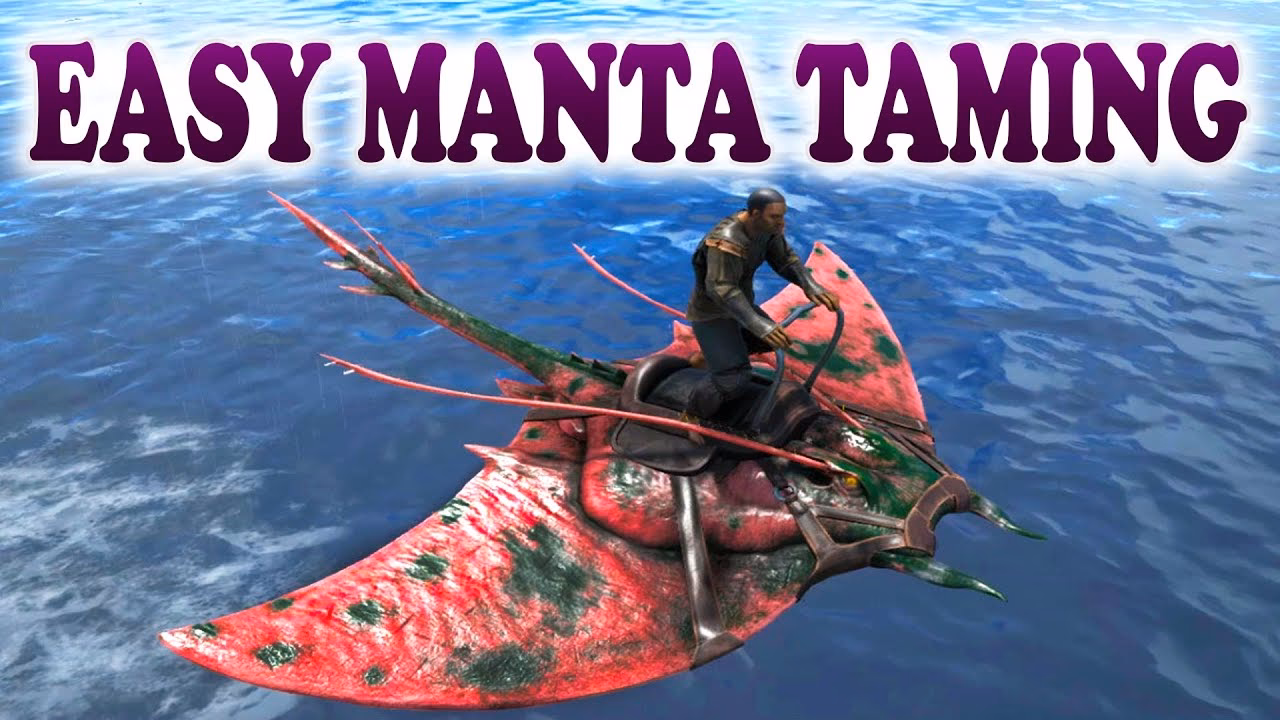 What does a manta eat in Ark?