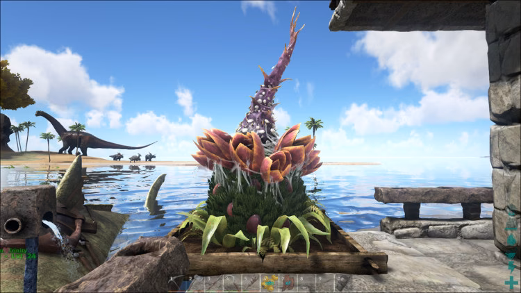 What is plant species X?